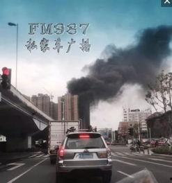 保利香槟爆料视频最新,揭秘神秘项目背后的故事